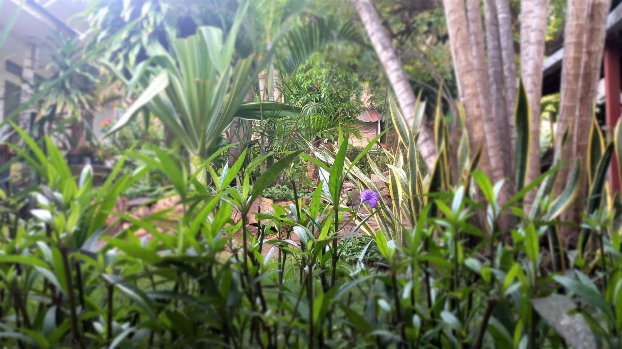 Bajo Hotel Labuan Bajo Kültér fotó