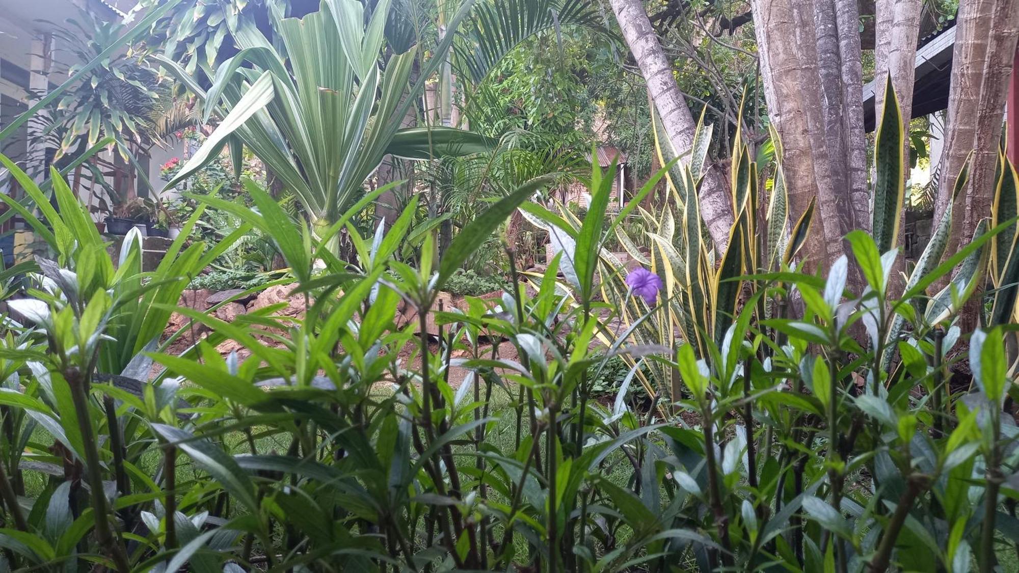 Bajo Hotel Labuan Bajo Kültér fotó