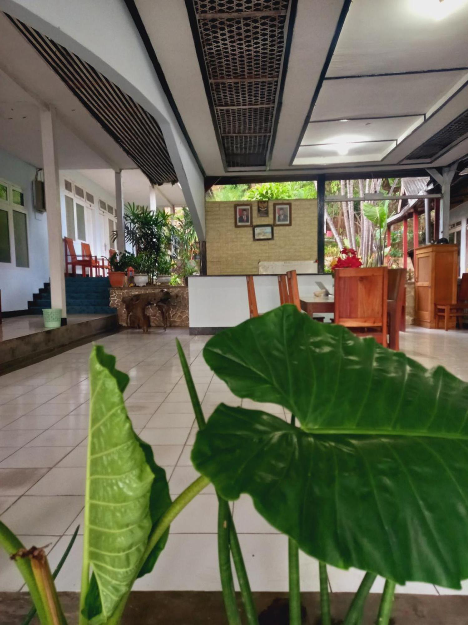 Bajo Hotel Labuan Bajo Kültér fotó